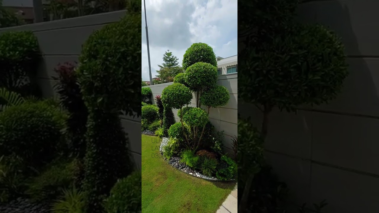 0300-42-46-125 ali abbas beautiful backyard Rock Garden ideas stones work designing edging sheets