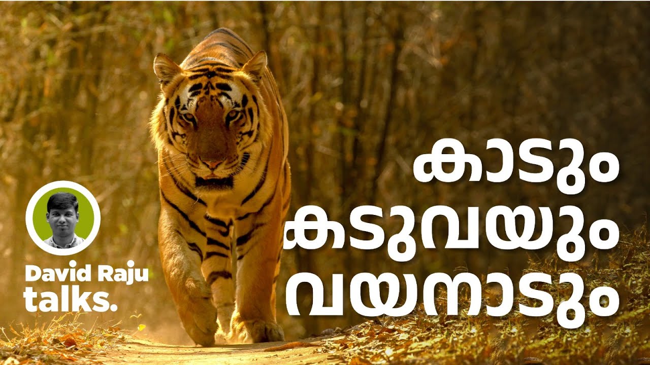വന്യജീവികളും മനുഷ്യരും; കൂടിവരുന്ന സംഘർഷങ്ങളും.പരിഹാരമെന്ത് ?#davidrajutalks #wildlife