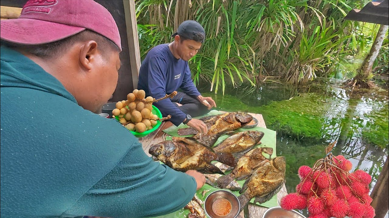 berpetualang menjaring ikan dan mencari bermacam buah buahan bersama subscriber dari suluk