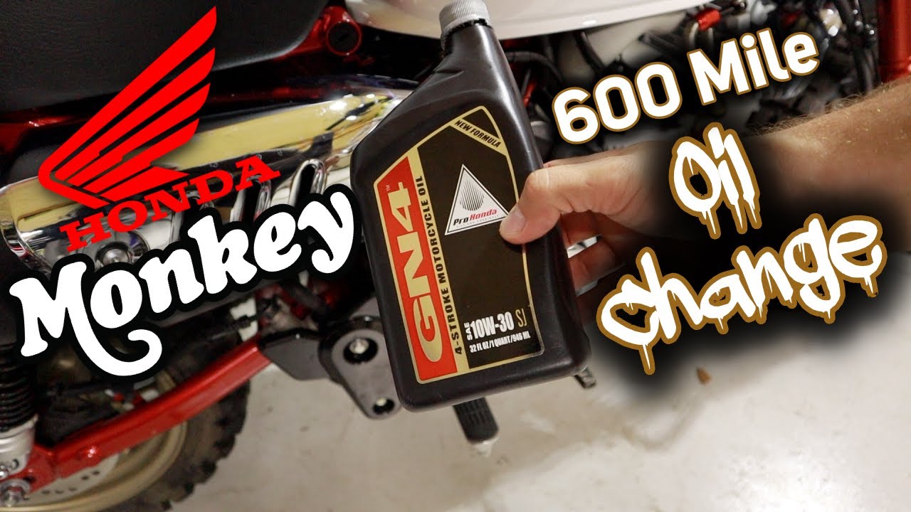 Honda Monkey 600-Mile Oil Change | Service Interval Observations
