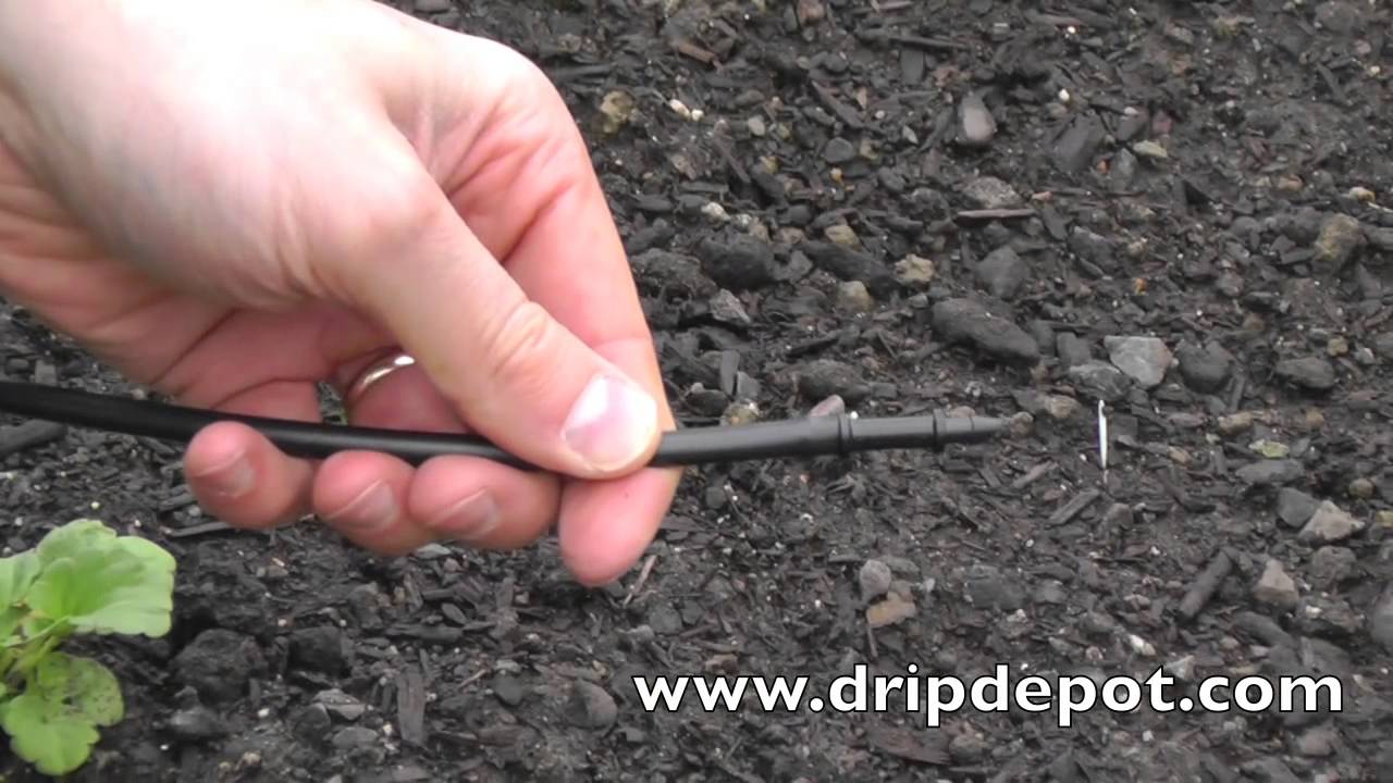 How to Use Dripline to Create a Drip Irrigation System for Trees