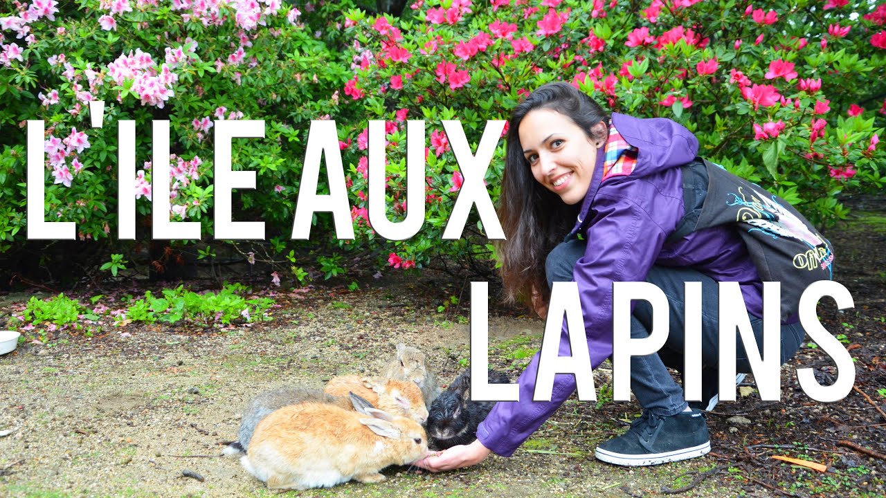L'île aux lapins | VLOG JAPON