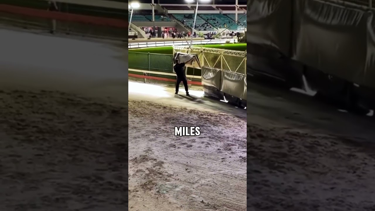 This Guy Has The Most Critical Job.🐕