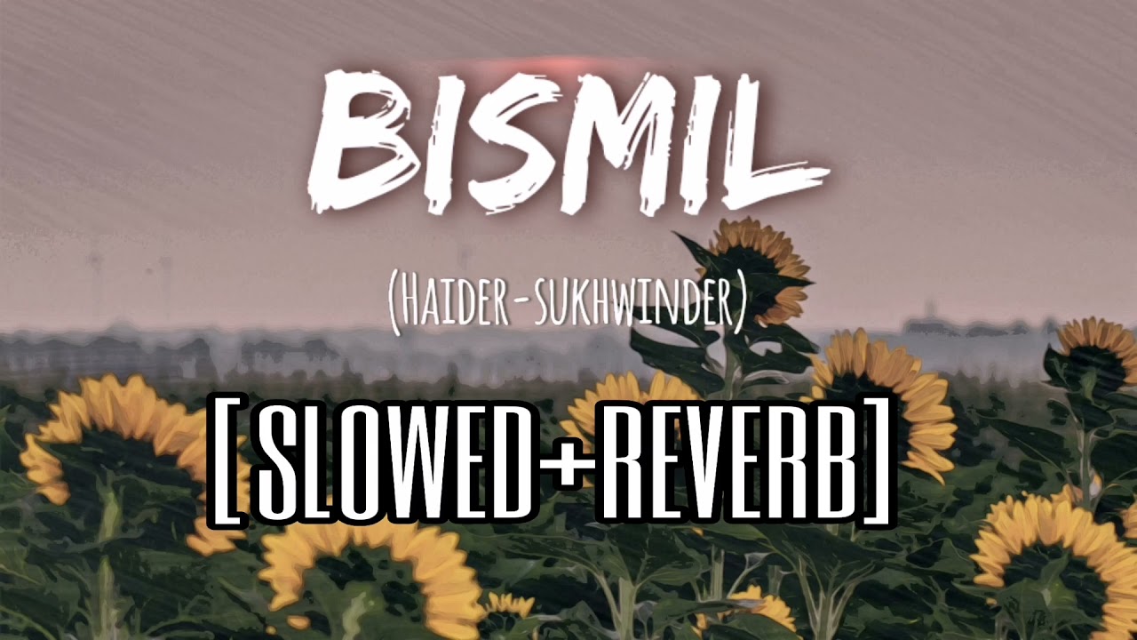 Bismil | Haider | Slowed+Reverb | Sukhwinder Singh