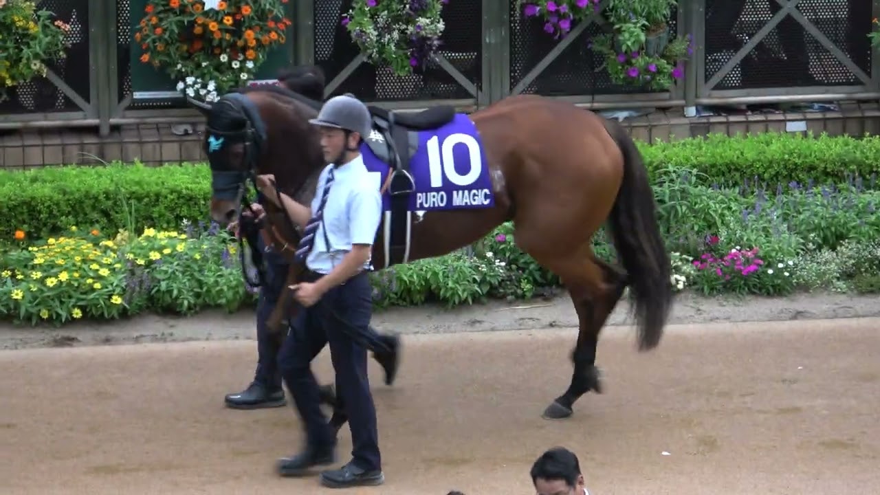 【スプリンターズステークスGⅠ】全頭パドック 現地映像 ルガル