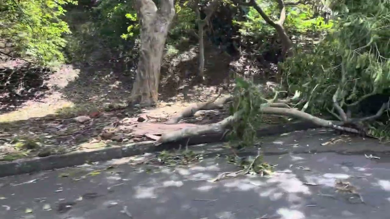 Flash storm wrecks havoc in Durban