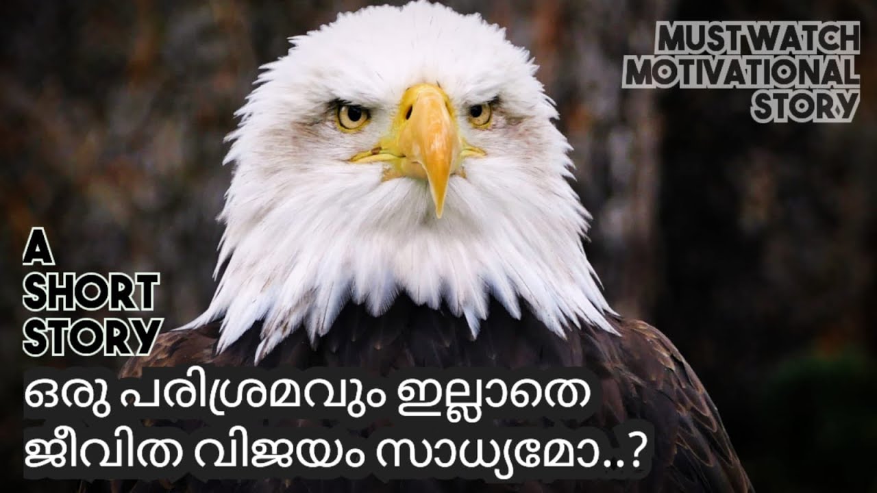 പരിശ്രമം,  മോട്ടിവേഷൻ സ്റ്റോറി, must watch inspiration Short story Malayalam