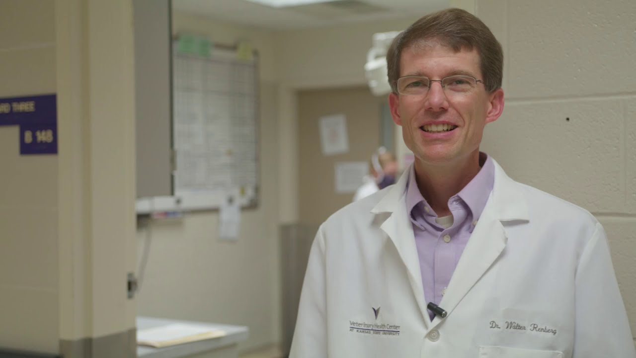 K-State Vet Med Virtual Tour - Small Animal Surgery Service