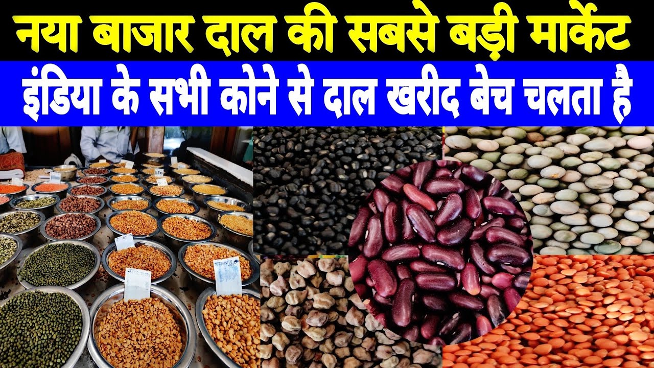 Naya Bazar Dal Market | Aisa biggest dal Market | Dal Market in Delhi #dalmarket #nayabazar