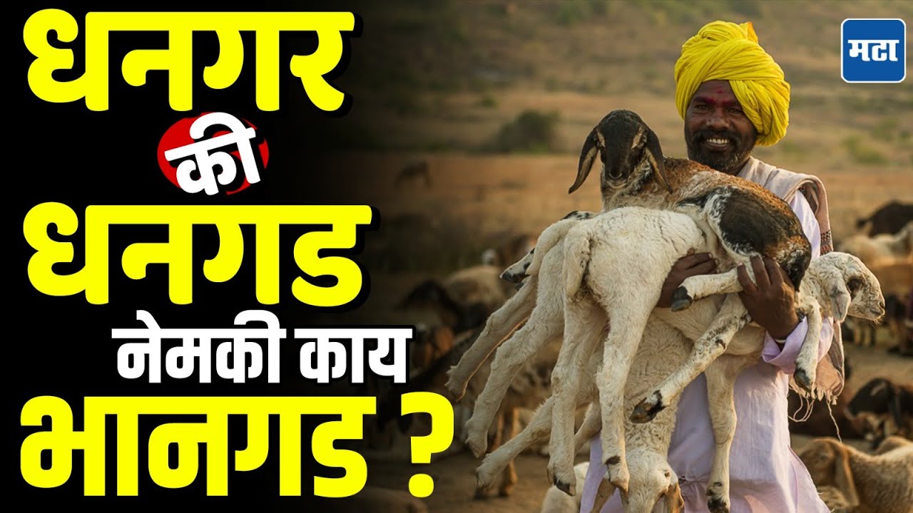 Dhangar ST Reservation : 'र' चा 'ड' झाला अन् आरक्षण गेलं ? धनगरांच्या दाव्यात कितपत तथ्य ?