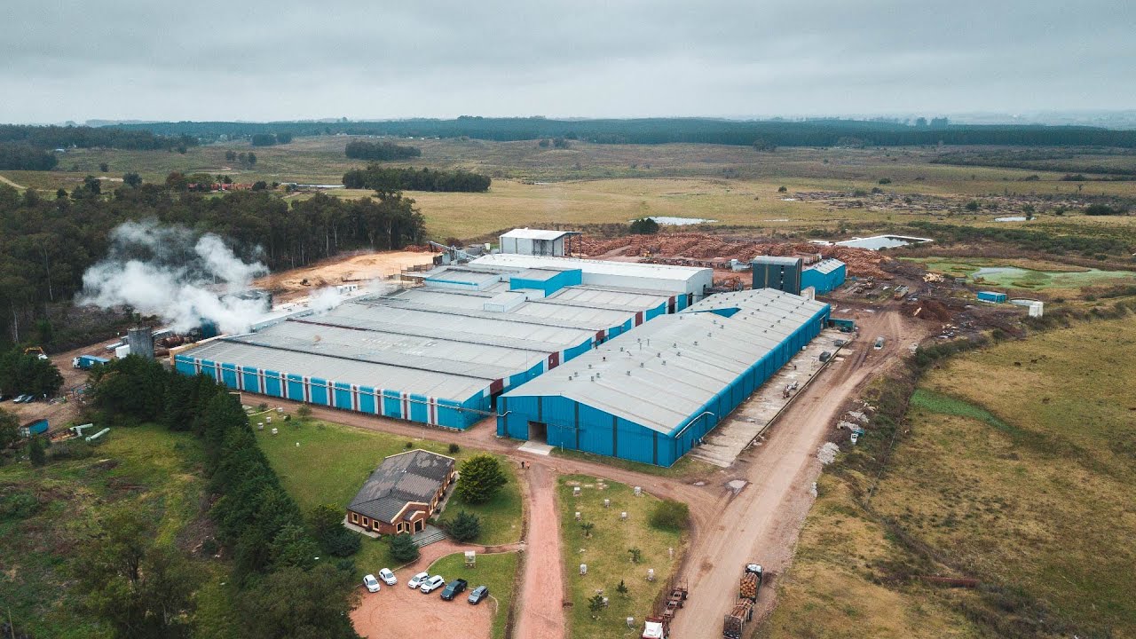 Arboreal - Video institucional