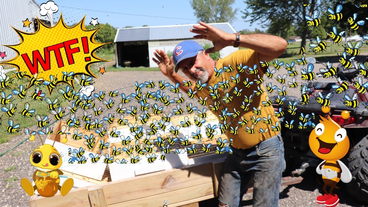 One Way To Clean Your Extracted Honey Frames After Extracting The Honey  ( Dec 2020 )