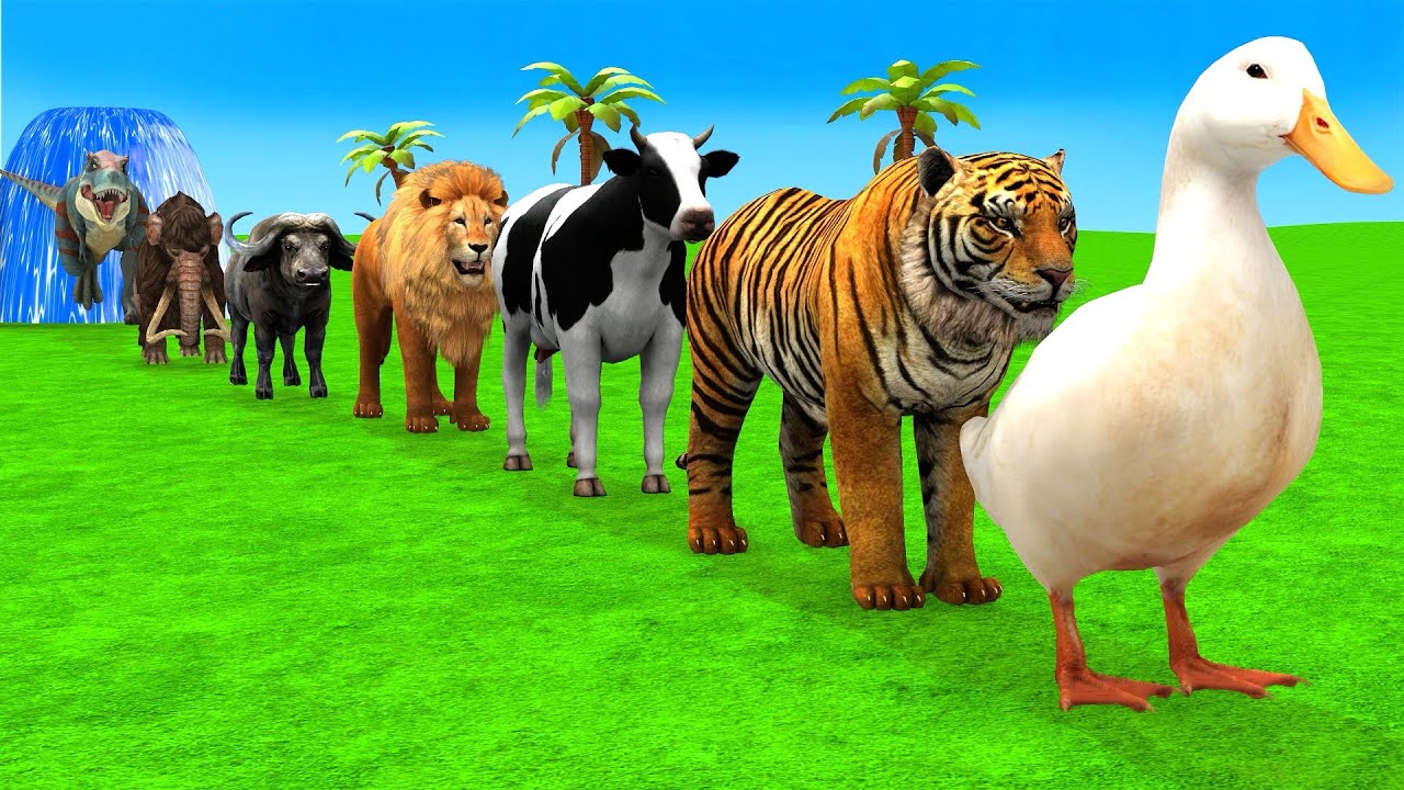 Long Slide Game With Elephant Gorilla Buffalo Hippopotamus Tiger - 3d Animal Game - Funny 3d Animals