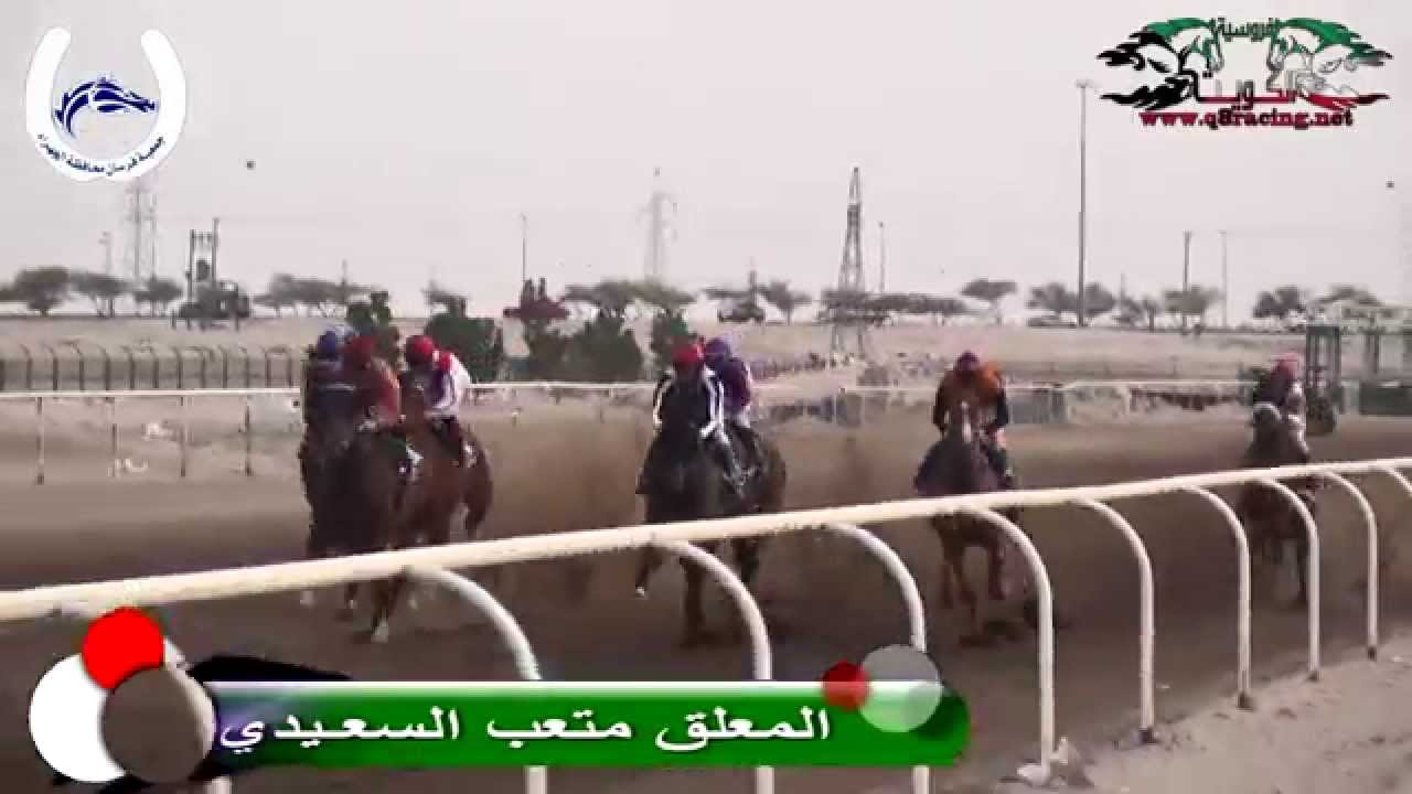 الجواد مغنم : لسطبل الزبني