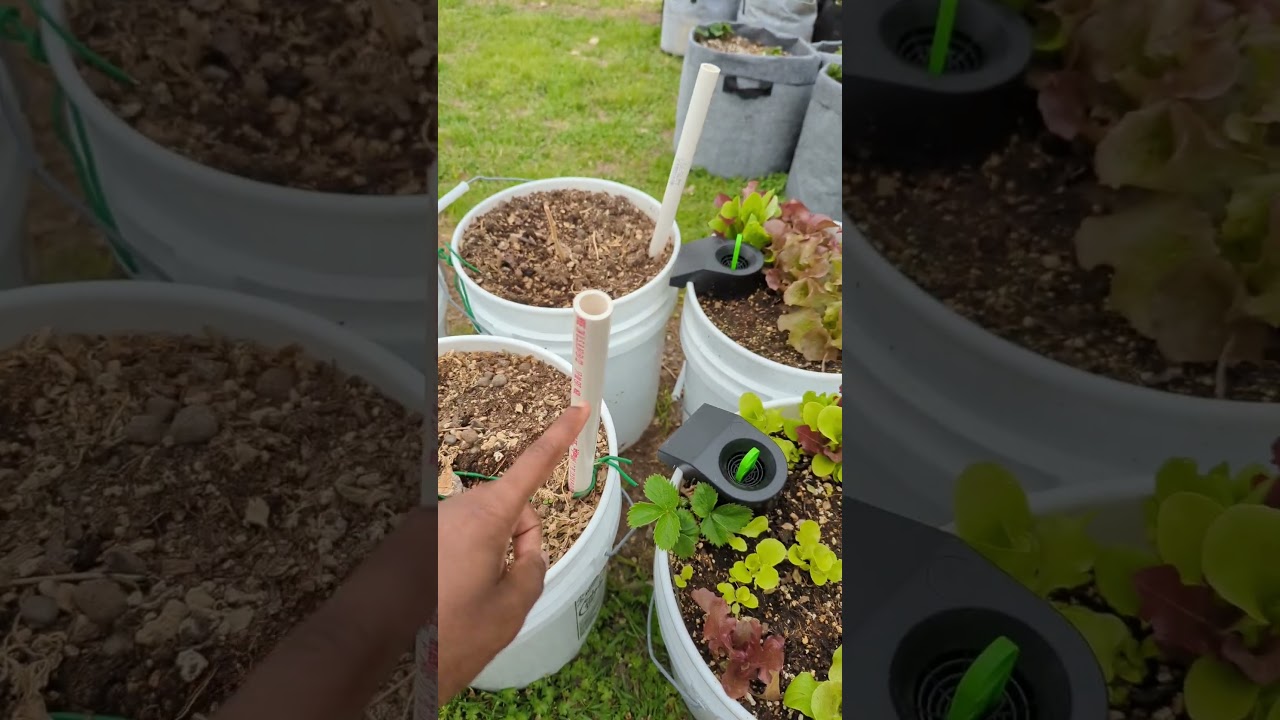SIP buckets make growing easy!!