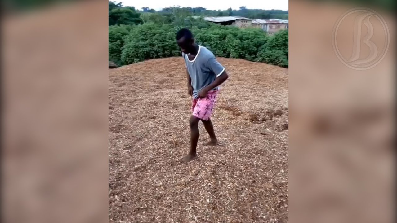 Standing Double Backflip Progression - yayasylla844