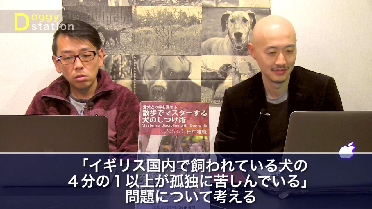 【調査】分離不安/イギリスで留守番に苦しむ犬達：DOGGY STATION Vol.56/犬のしつけ・問題行動・犬の心理学・犬の行動学・ドッグトレーナー・ドッグビヘイビアリスト