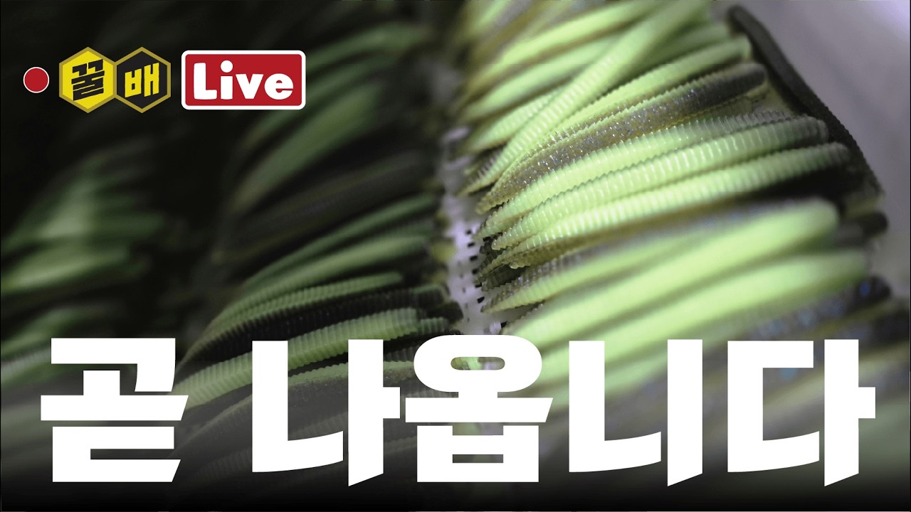 PFL 개막전, TWL 연간팀 모집중, 드림캐처 PV, 뉴컬러 입고 [꿀배Live Vol.364]