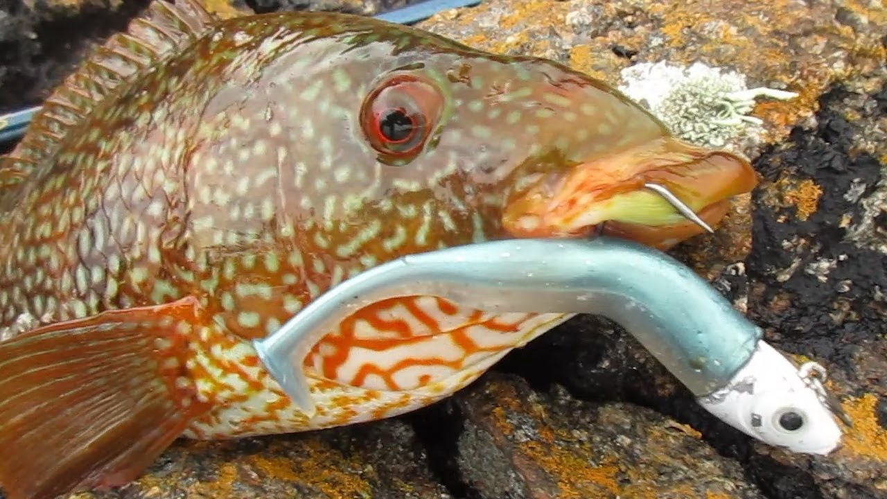 Pinto pescado con vinilo Real Sas&aacute;n 30 gr