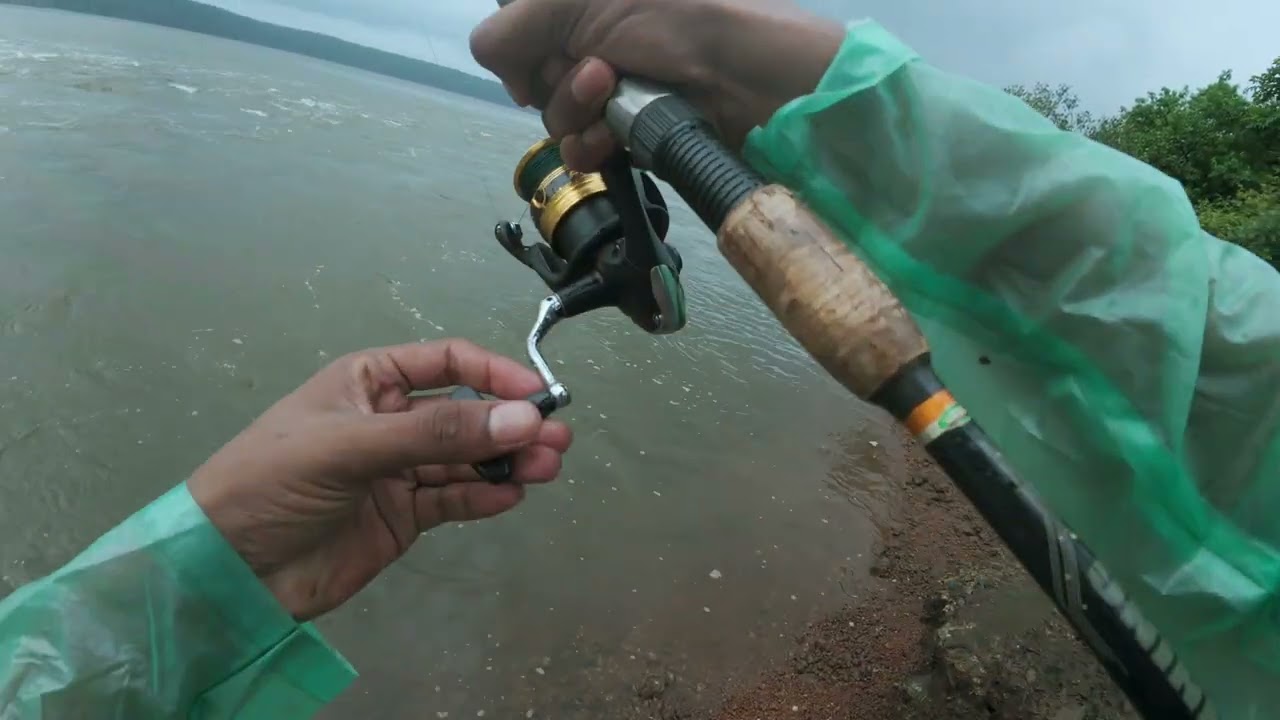 सर्व मासे पकडून सोडले | One day Catch and Release | 