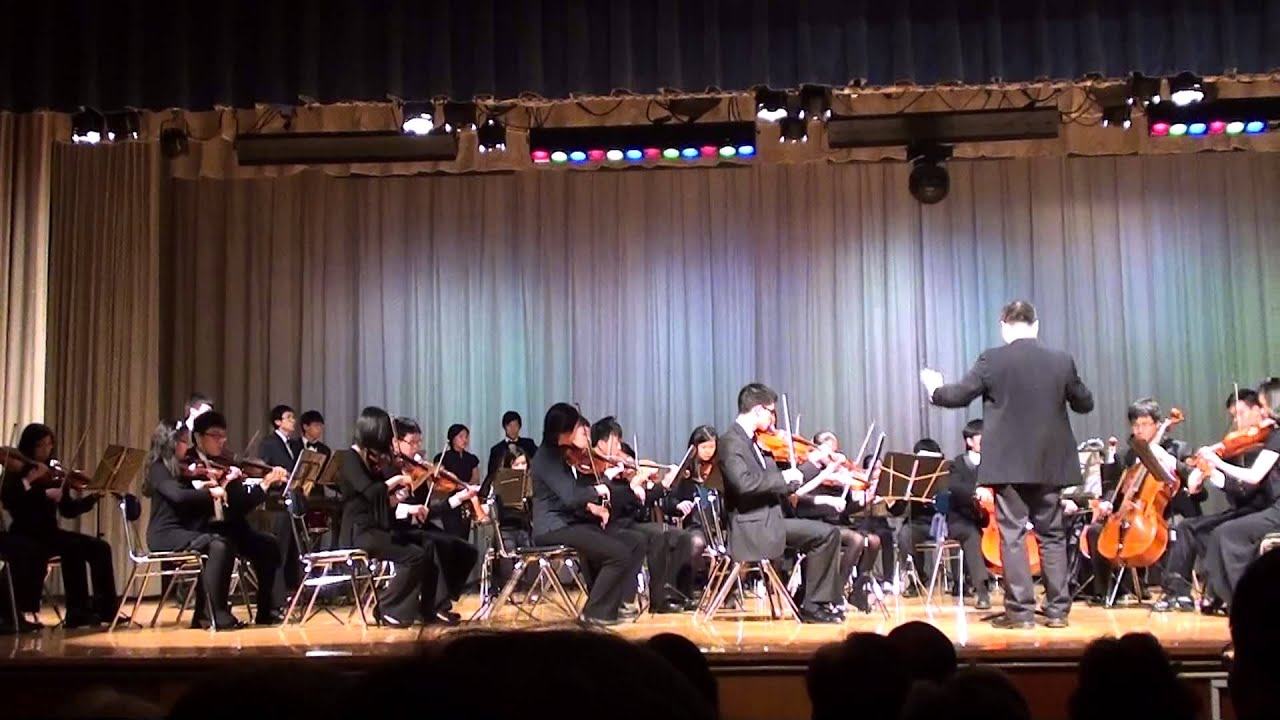 CYCNY Youth Orchestra- Tico-Tico