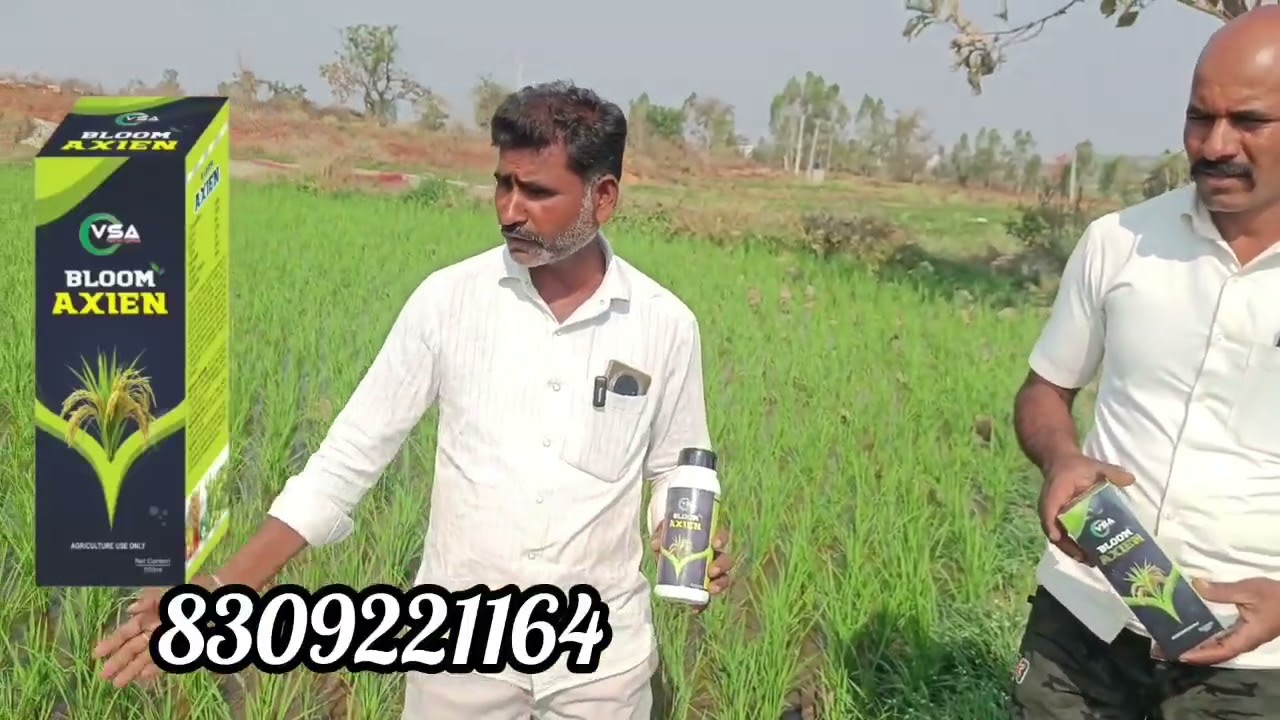 వరి పంటకు వాడండి వేదశ్రీ అగ్రిటెక్ వారి Bloom Axien