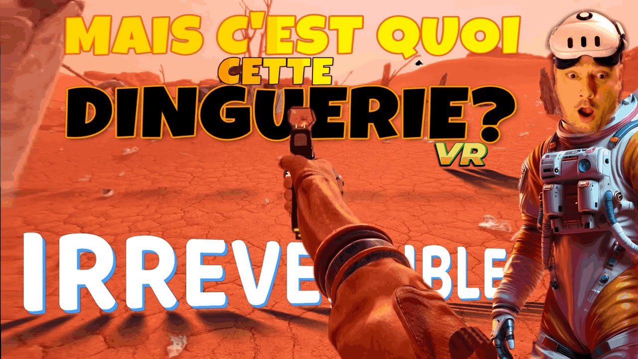 IRREVERSIBLE PREMIERES IMPRESSIONS SUR PCVR