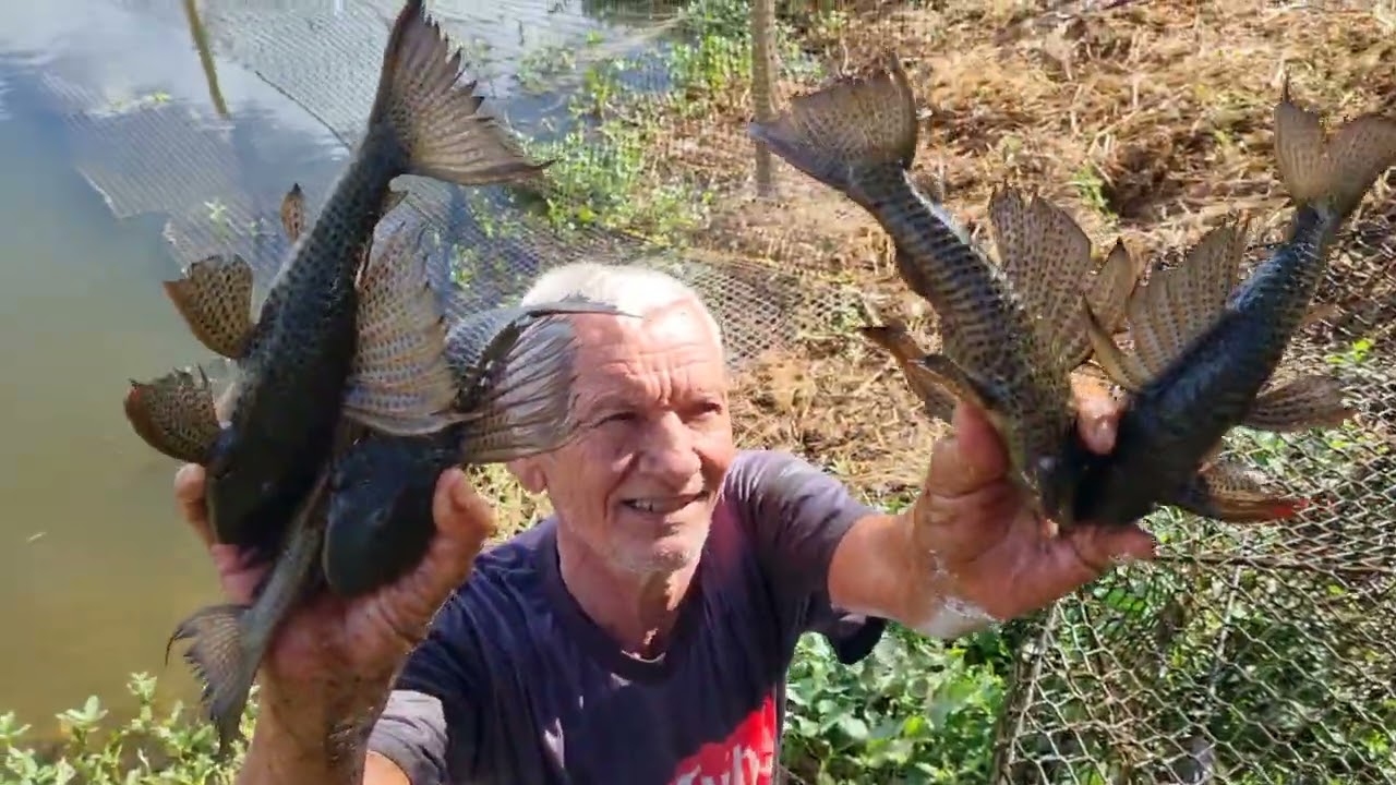 SURPRESA DENTRO DAS ARMADILHAS JÁ ME PERGUNTAREM O QUE MAIS GOSTO DE FAZER E A RESPOSTA TÁ NO VÍDEO