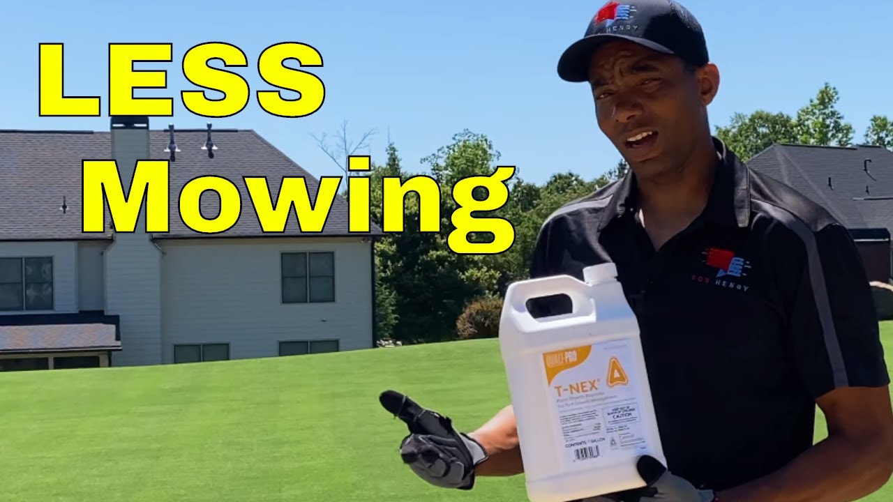 [How to APPLY T-NEX] Plant Growth Regulator (PGR)