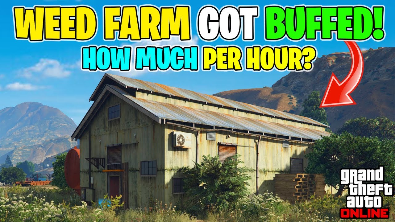 The Weed Farm Got Buffed! GTA 5 Online