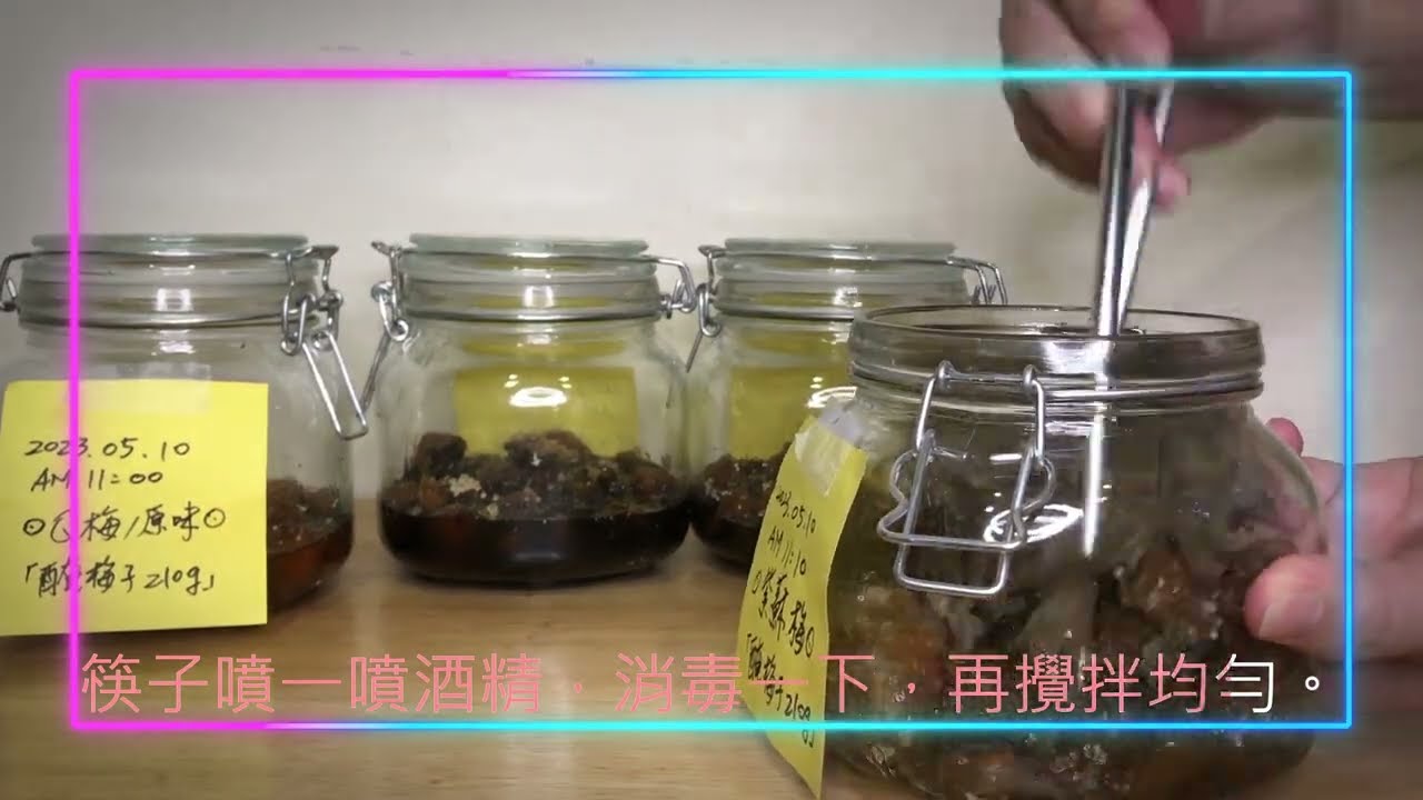 『Q梅4品+精釀梅汁』。免曬!免壓法!〔梅子蜜餞〕｜ 4 flaveors of Plum Preserves and Ume Plum Syrup.｜手做原味Q梅、紫蘇梅、茶梅、咖啡梅。