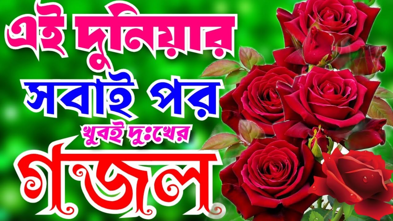 খুবই দুঃখের মন প্রাণ জুড়ানো সেরা ৫ গজল।Bangla jikir Gojol।। Bangla Gojol ।এই দুনিয়ার সবাই পর 