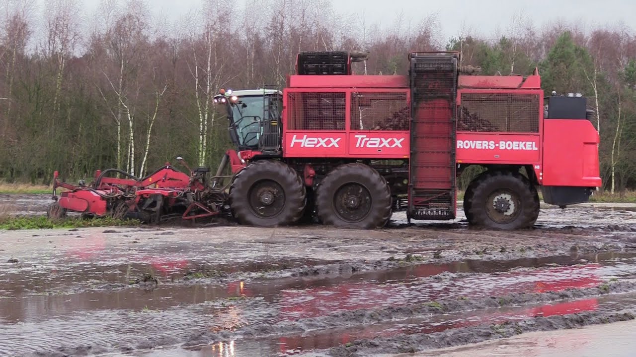 Bietenoogst 2024 | Beet harvest in the mud | Agrifac Hexx Traxx met grote wielen | Gilles RB 640