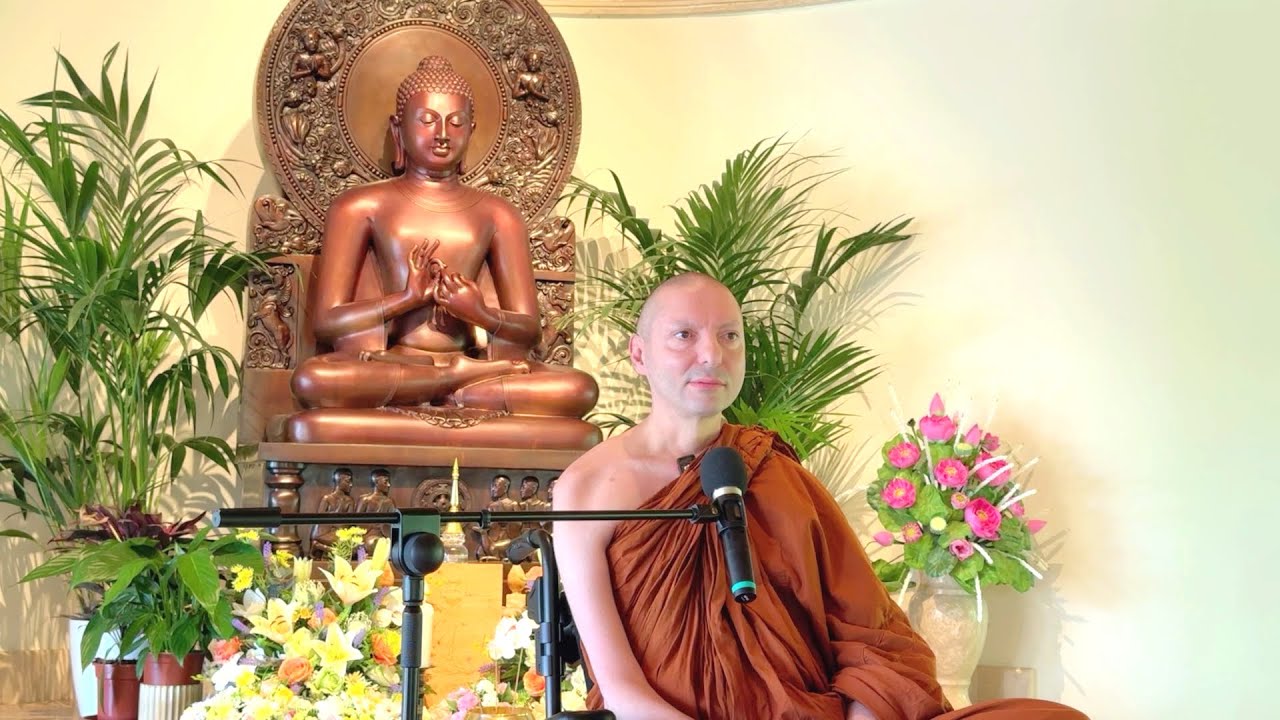Discorso Domenicale di Dhamma di Ajahn Mahāpañño - Le vocali del cuore  [ 31 Agosto 2025 ]