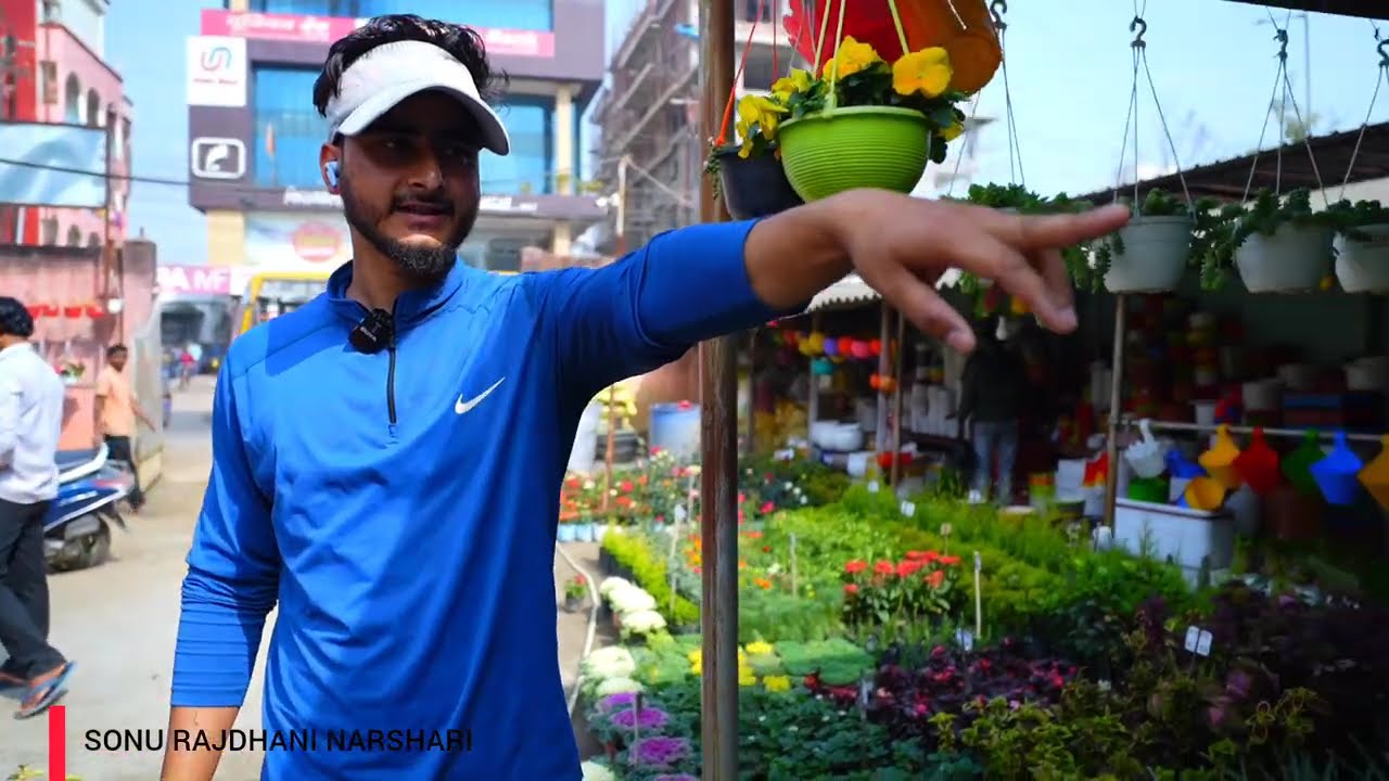Rajdhani nursery collection winter season and permanent plant Ranchi big nursery winter season and