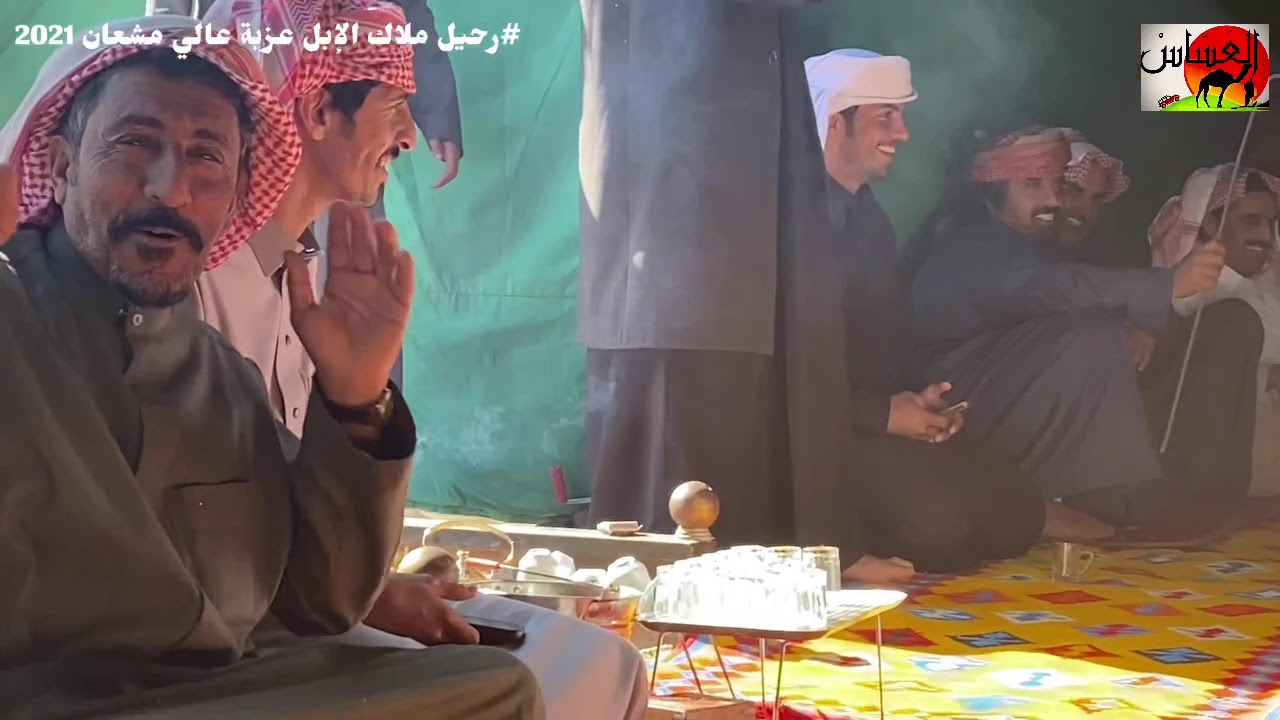 رحيل ملاك الإبل الى الصمان عزبة عالي مشعان الهوامله 1442/5/21