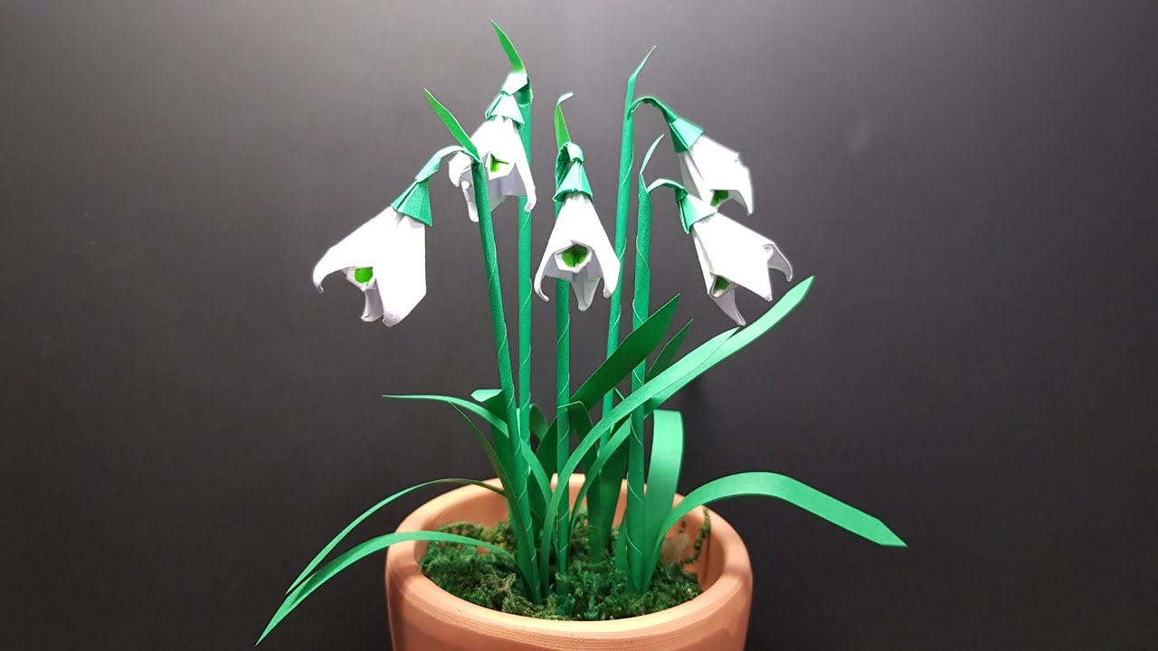 스노우드롭접기 (갈란투스)- Paper snowdrop - 꽃접기 ( flower )- paper folding - 종이접기 折纸 origami оригами أوريغامي