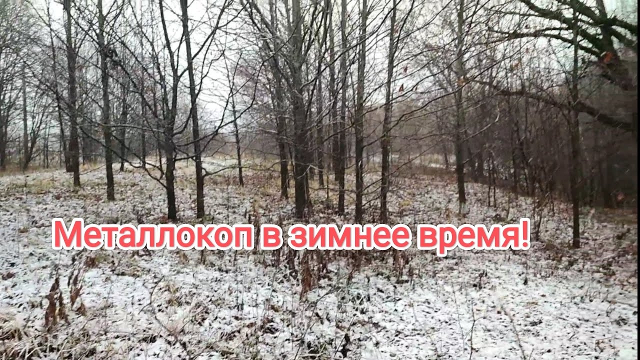 Хороший итог по находкам рядом с домом!