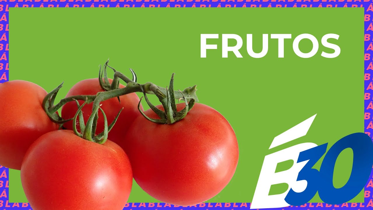 FRUTOS | Biologia em Meia Hora