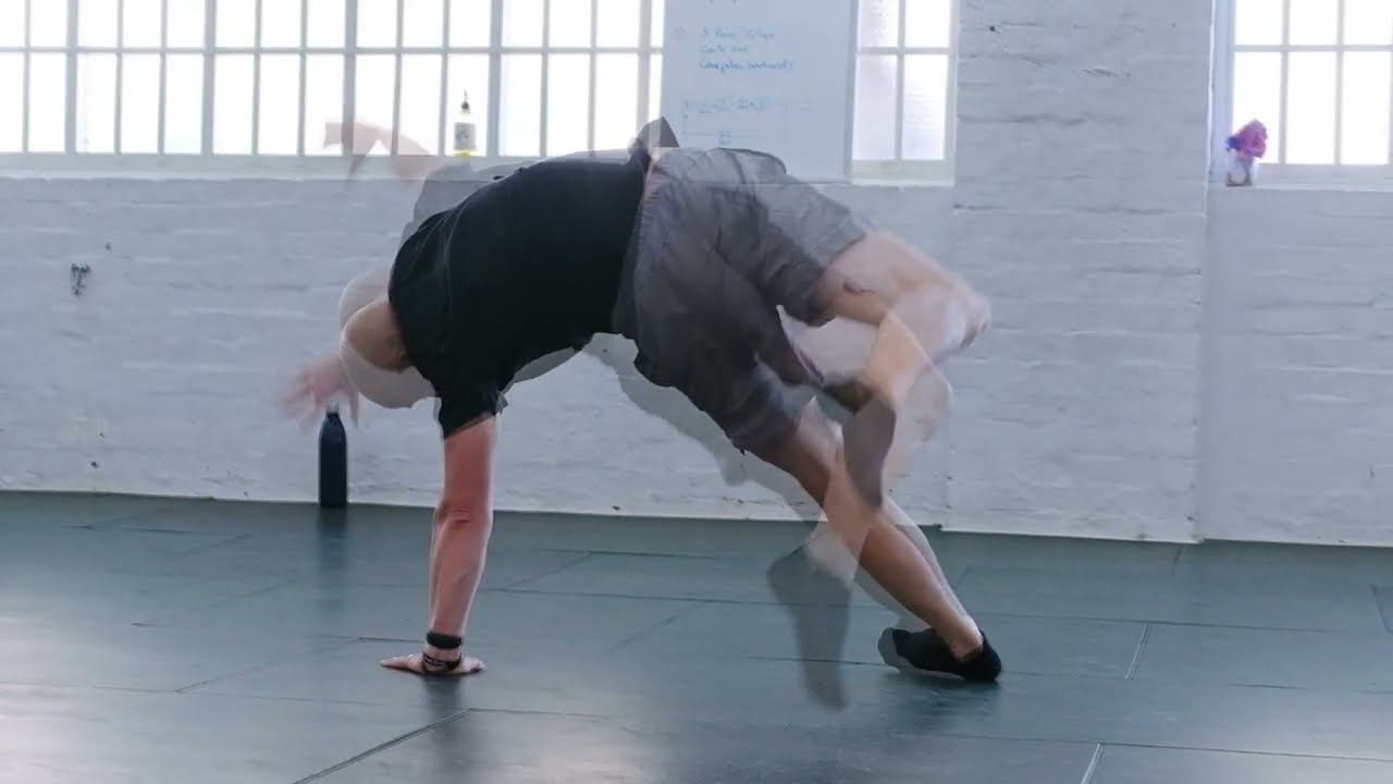 Animal Flow at Primal Moves