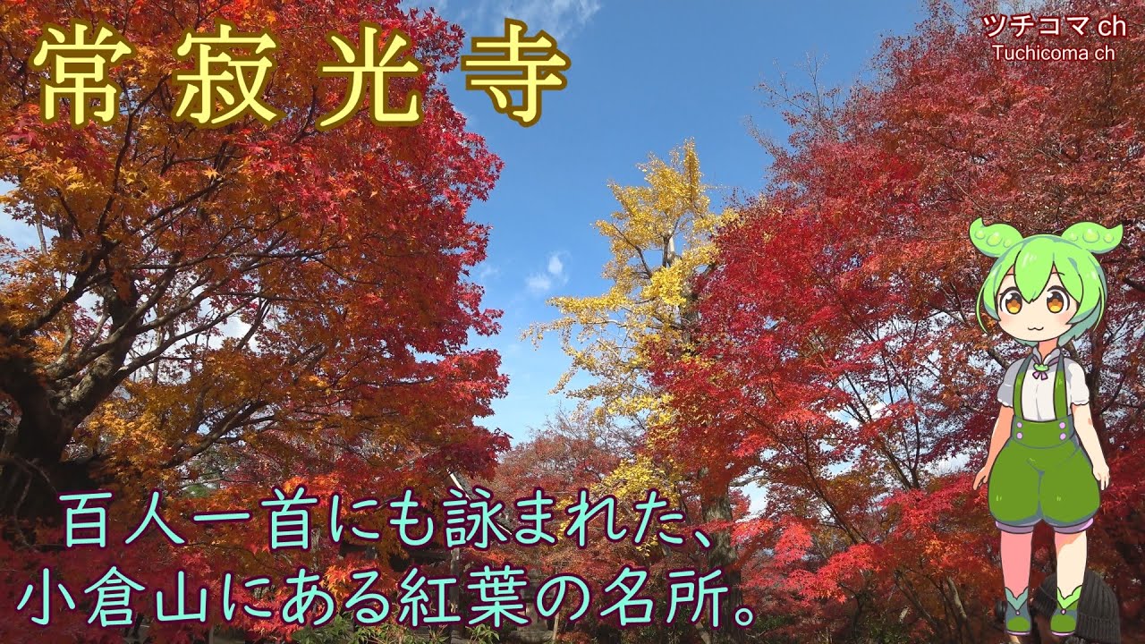 常寂光寺 小倉山にある「紅葉が常寂光(浄土)のようだ」と、それが寺名になった、紅葉の名所。