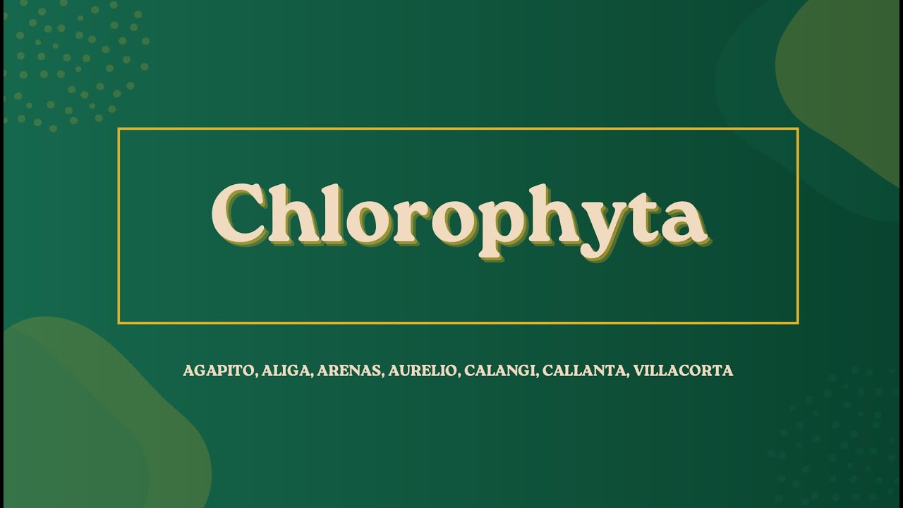 Chlorophyta Group 1 Biology 102 AB