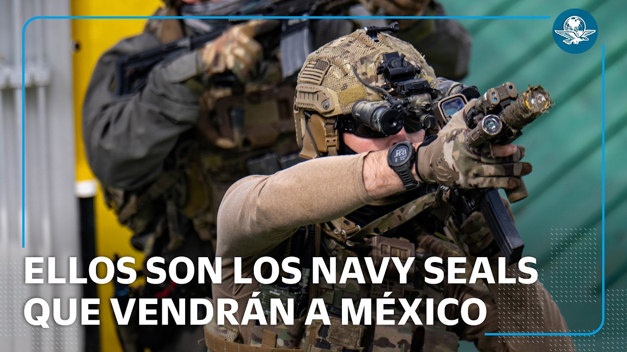 ¿Quiénes son y a qué vienen los Navy SEALs a México?