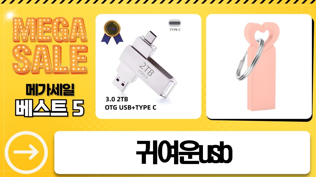 2TB 초고속 USB  귀여운 USB 대방출!