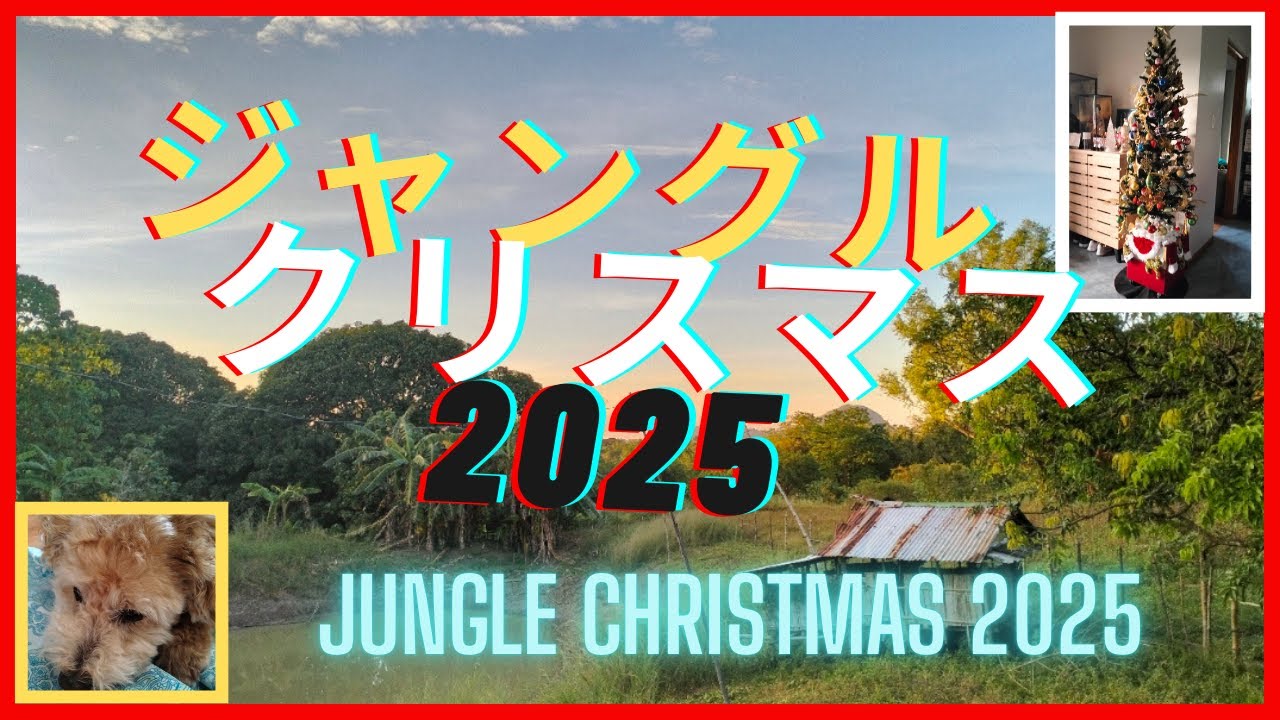 ジャングルクリスマス 2025　Jungle Christmas 2025