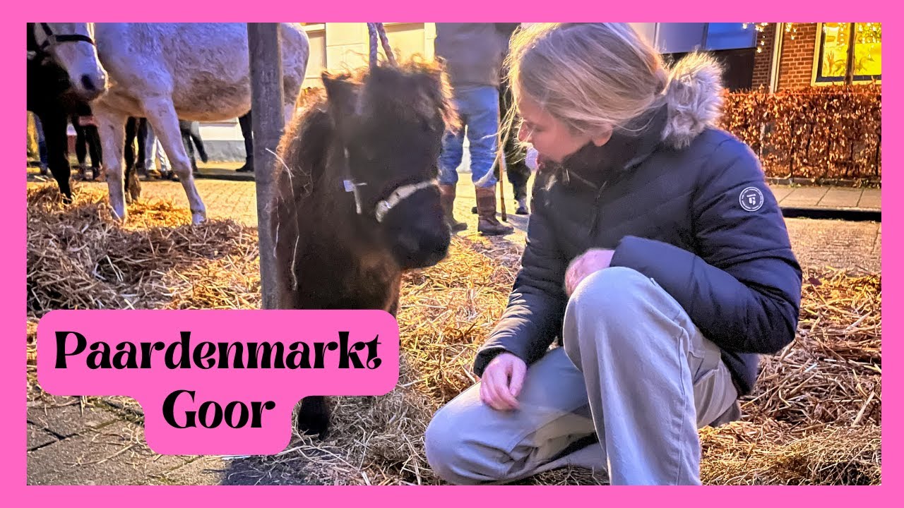 PAARDENMARKT GOOR! Komen we met een pony thuis & wat vinden we hier nou van ?
