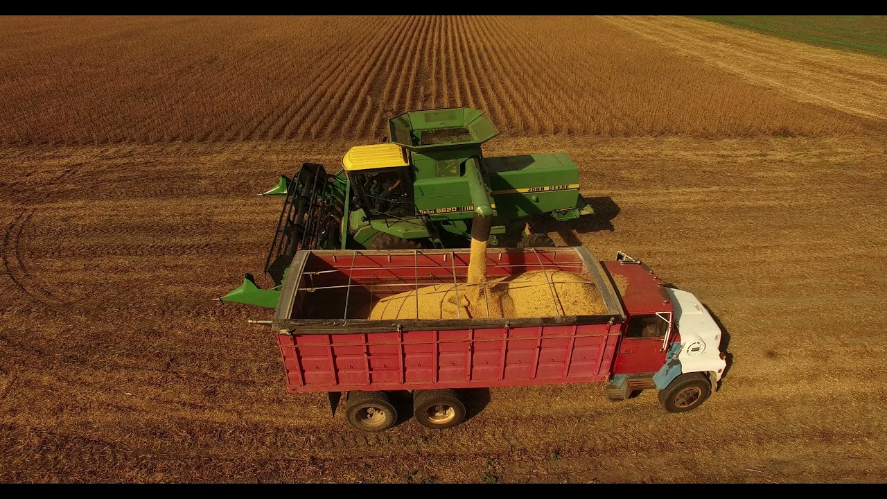 combining beans john deere 6620