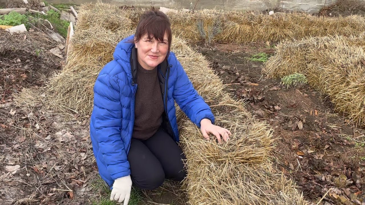 Как выращивать растения на тяжелых глинистых почвах