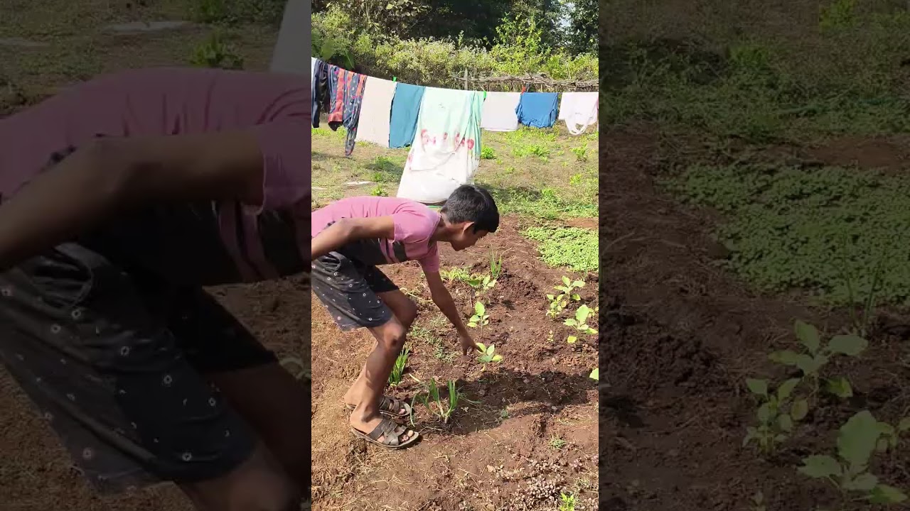 आमचा छोटा शेतकरी ❤️