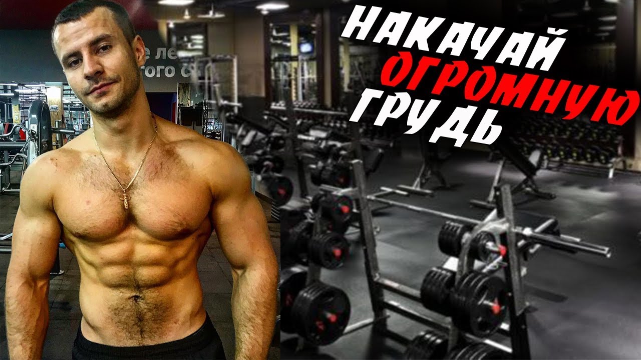 Как НАКАЧАТЬ МОЩНУЮ ГРУДЬ !? Подробный разбор программы !